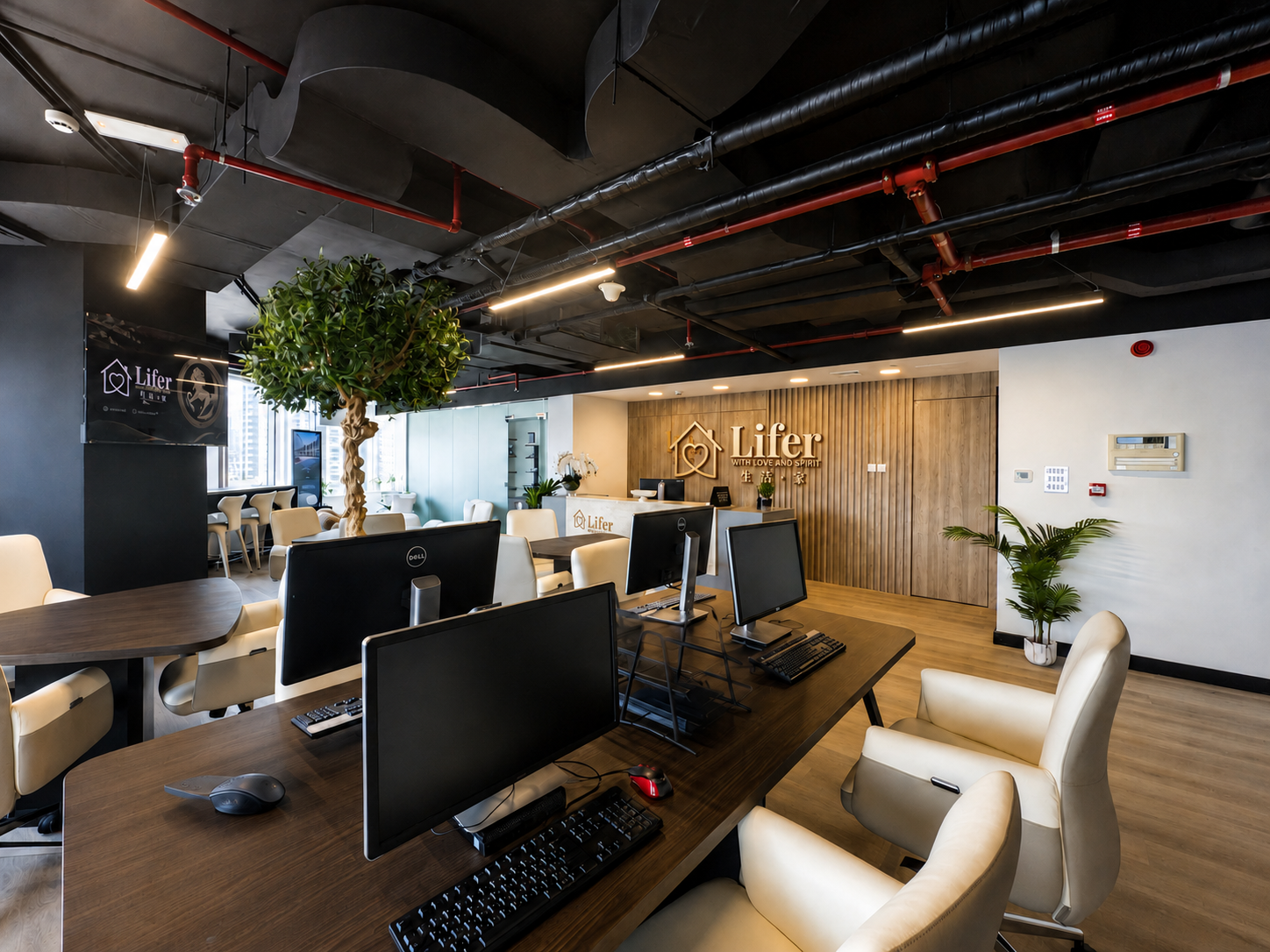 Lifer Realty Established